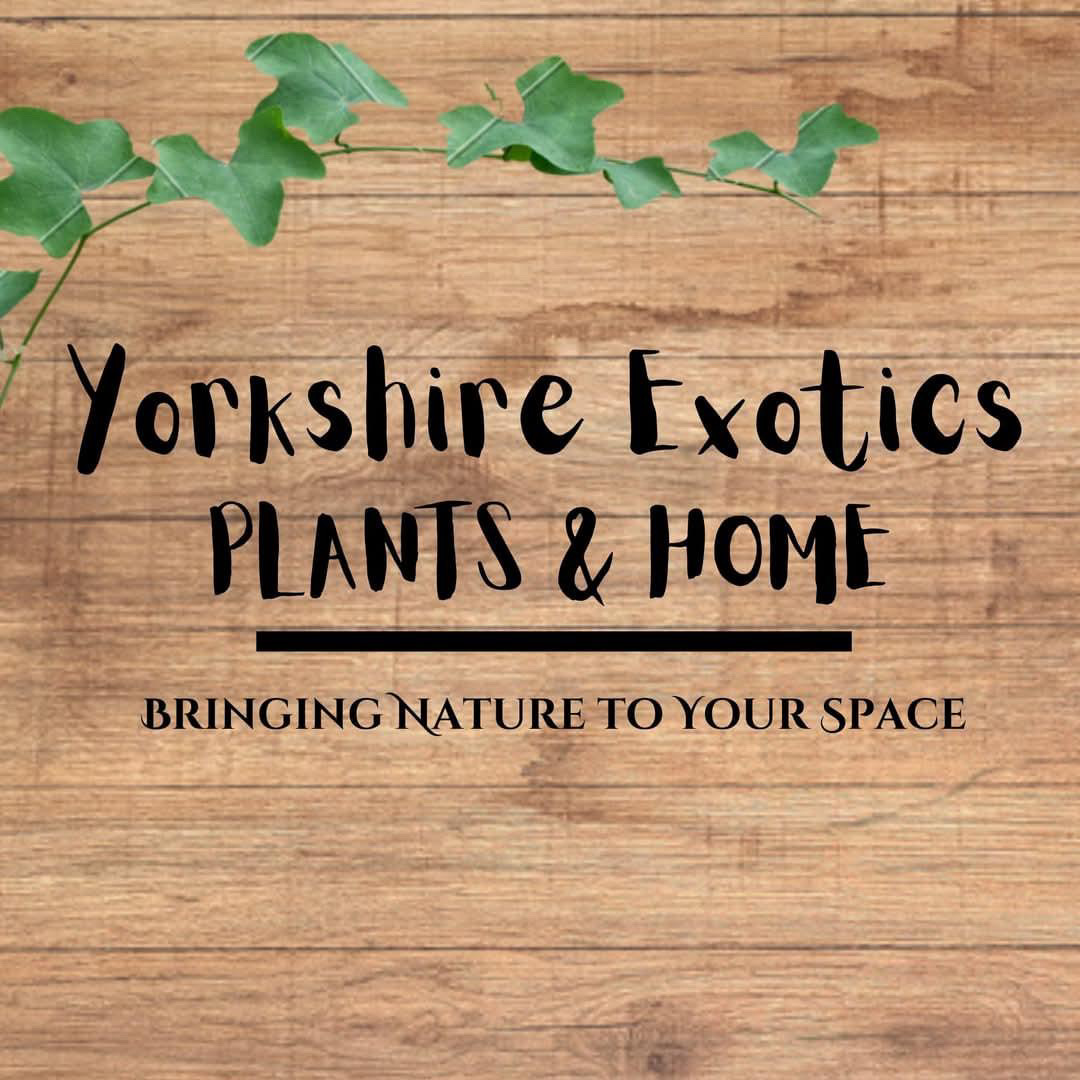 Yorkshire Exotics